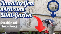 garten havelberg kupfer